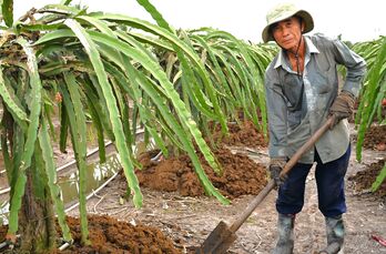 Nông nghiệp hữu cơ - Hướng đi tất yếu