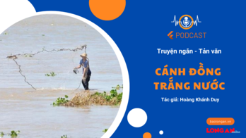 Cánh đồng trắng nước