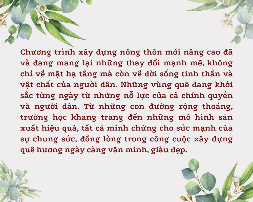 Long An: Khởi sắc từ xây dựng nông thôn mới nâng cao