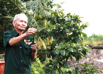 Những cựu chiến binh gương mẫu, trách nhiệm