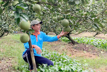 Nông sản phục vụ Tết Nguyên đán năm 2025