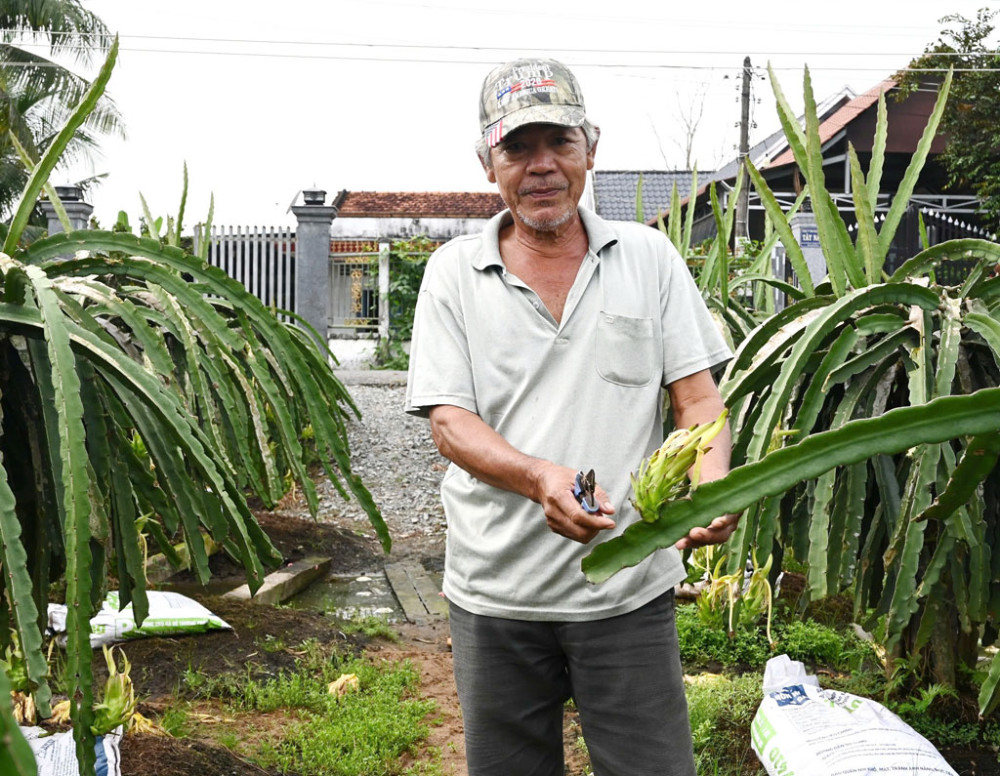 Bước đầu áp dụng nông nghiệp hữu cơ