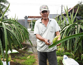 Initial application of organic agriculture