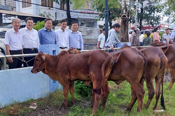 Nhiều nguồn lực cho công tác giảm nghèo bền vững