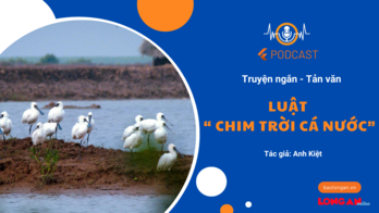 Luật 'chim trời cá nước'!