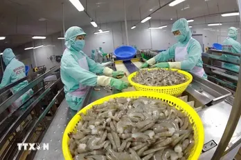 Shrimp exports expected to hit 4 billion USD in 2024