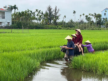 Kỳ diệu du lịch nông nghiệp: Làng quê Việt Nam là kho báu triệu đô