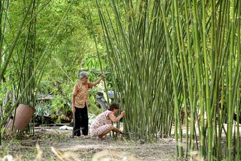 Nghề từ lũy tre làng