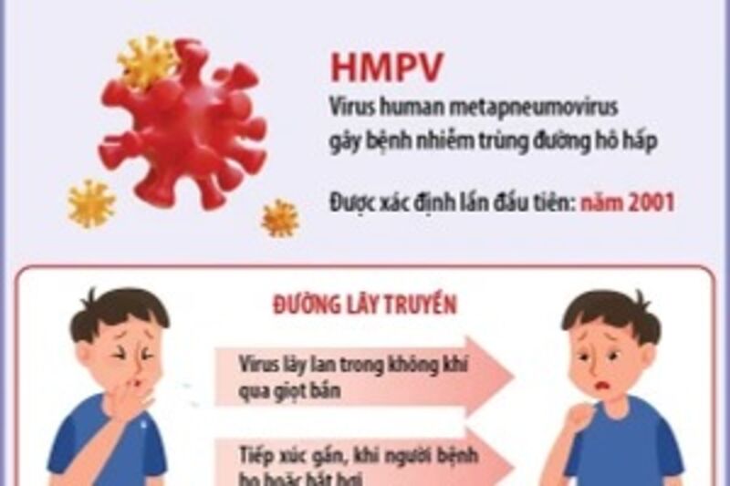 Thông tin mới nhất về bệnh đường hô hấp do virus HMPV