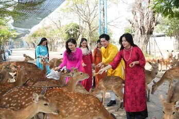 Tết này, du lịch Long An có gì hấp dẫn?