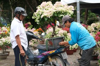 Người dân tranh thủ mua hoa vào ngày cuối