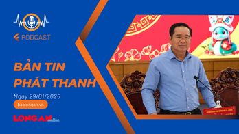 Bản tin phát thanh ngày 29/01/2025