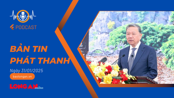 Bản tin phát thanh ngày 31/01/2025