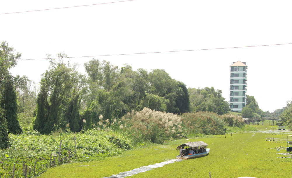 Làng Nổi Tân Lập mùa này xanh mướt, là thời điểm thích hợp để về với thiên nhiên