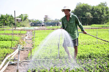 Thời tiết hôm nay 03/02: Huế tới Phú Yên mưa to; Nam Bộ sớm lạnh, ngày nắng