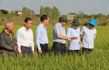 Lãnh đạo UBND tỉnh thăm đồng đầu năm