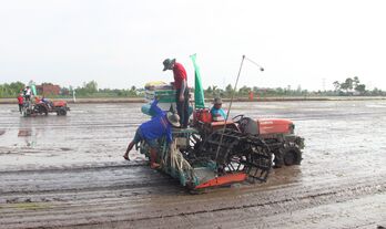 Nông dân tập trung sản xuất ngay từ đầu năm