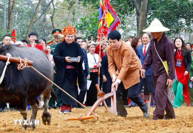 Chủ tịch nước Lương Cường thực hiện nghi thức mở xá cày đầu tiên trong Lễ xuống đồng của dân tộc Mường. (Ảnh: Lâm Khánh/TTXVN)