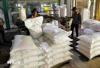 Vietnam expected to export over 7.5 million tonnes of rice in 2025