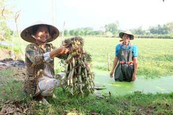 Khi phụ nữ nông thôn làm kinh tế