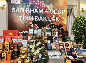 Buon Ma Thuot aims high as global coffee destination