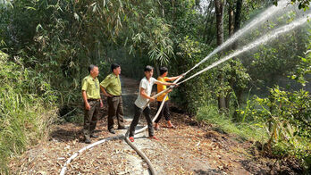 Cần chủ động trong công tác phòng cháy, chữa cháy rừng