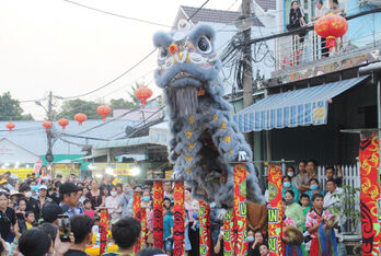 Bustling spring festival