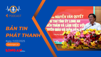 Bản tin phát thanh ngày 11/3/2025