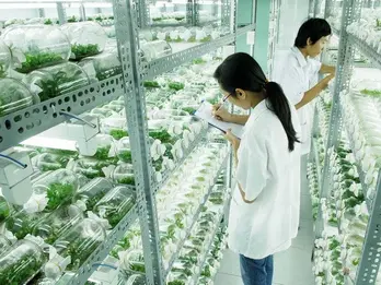 Vietnam partners with Israel for hi-tech agricultural innovation