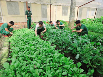 Đồn Biên phòng Mỹ Thạnh Tây tăng gia sản xuất, bảo đảm thực phẩm sạch cho bộ đội