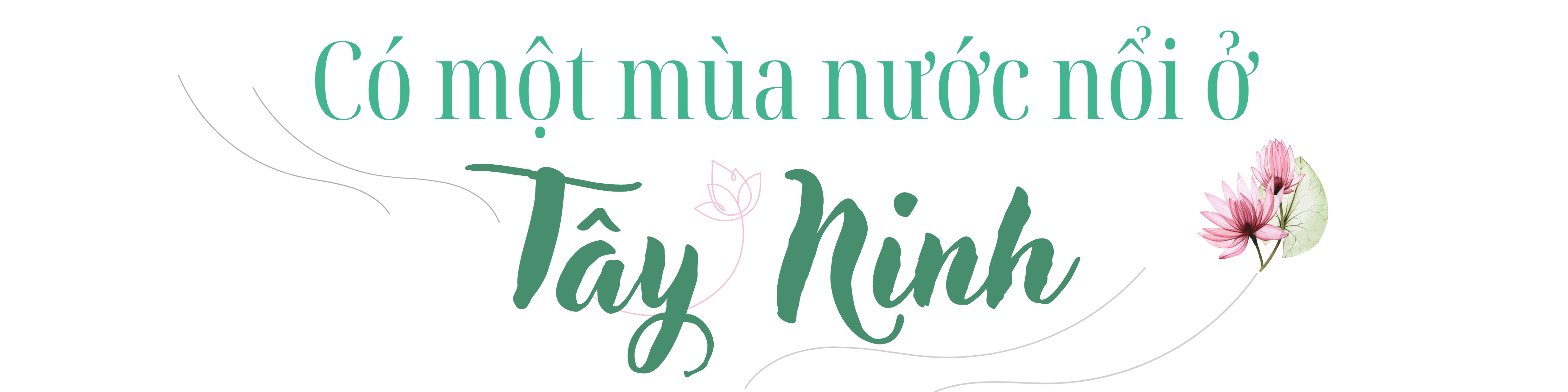 Mùa nước nổi: Khám phá vẻ đẹp hoang sơ trữ tình