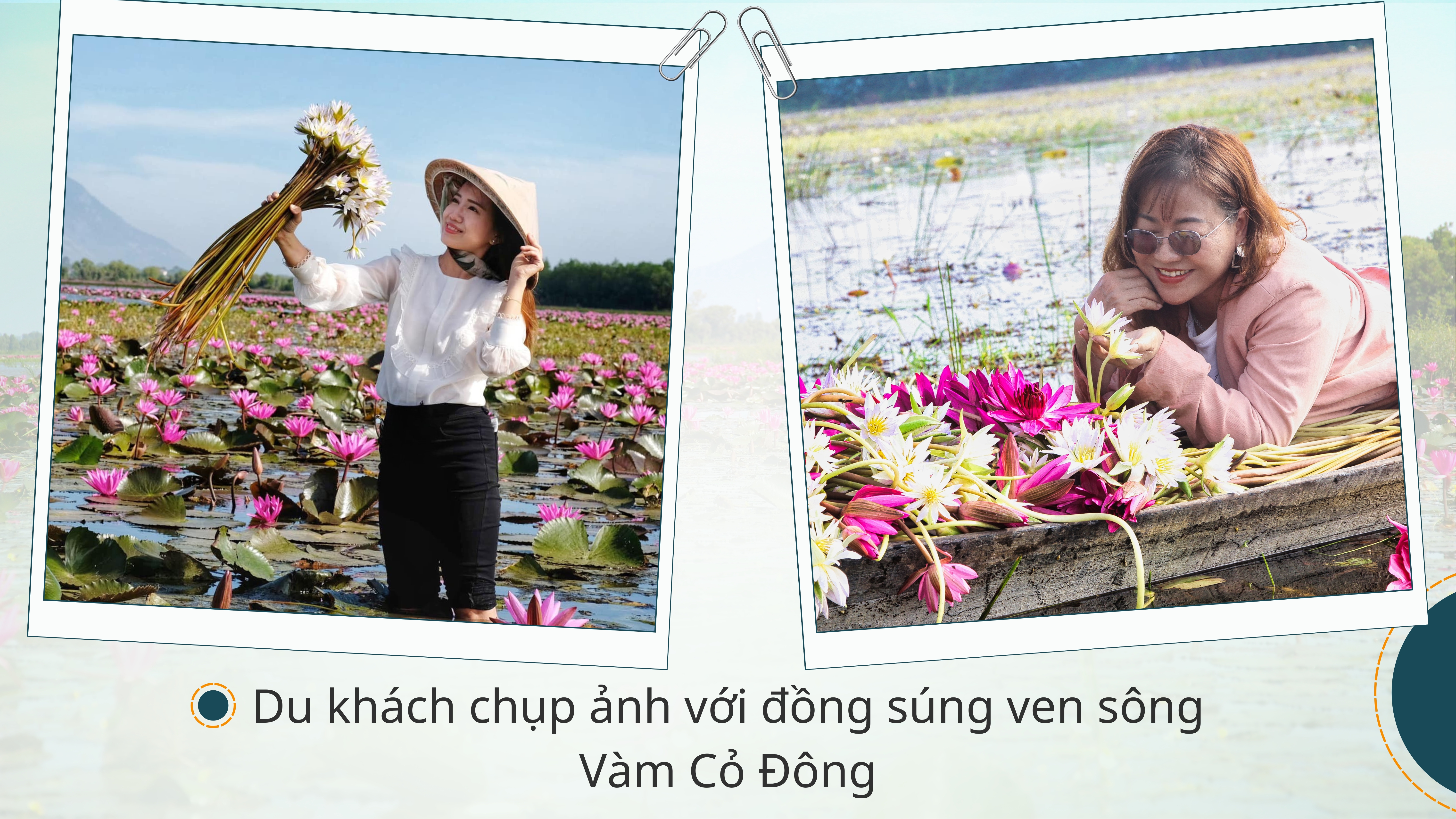 Mùa nước nổi: Khám phá vẻ đẹp hoang sơ trữ tình