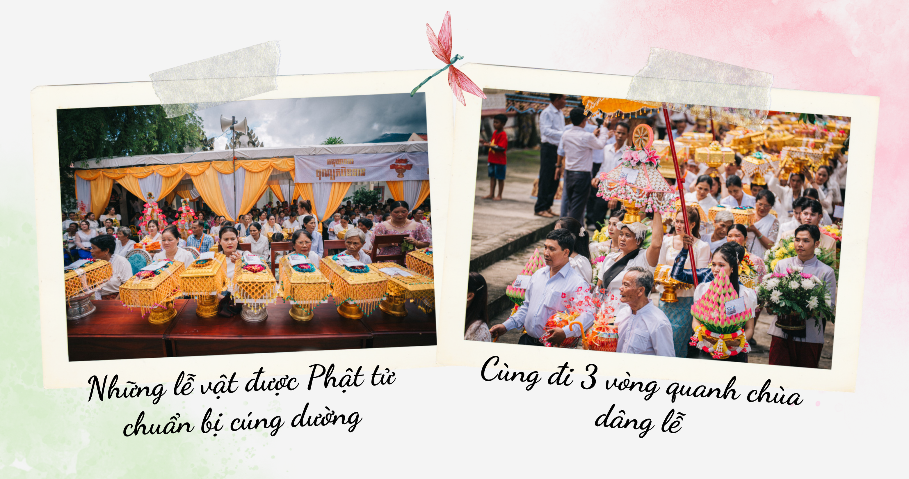 Mùa lễ Dâng y Mùa lễ Dâng y